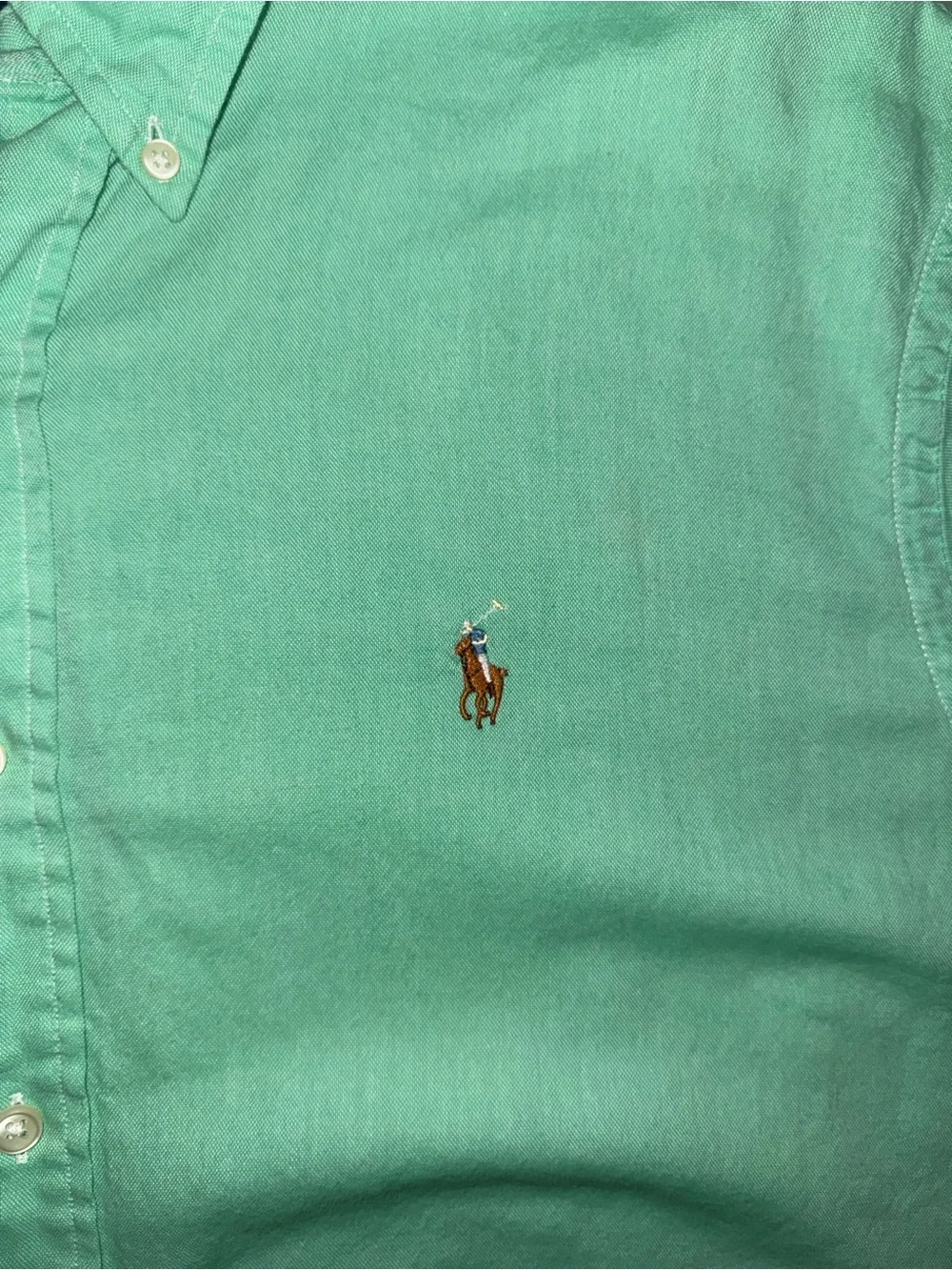 Polo Ralph Lauren classic mint